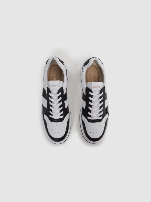 Attireforge.shop2e7278377e 3