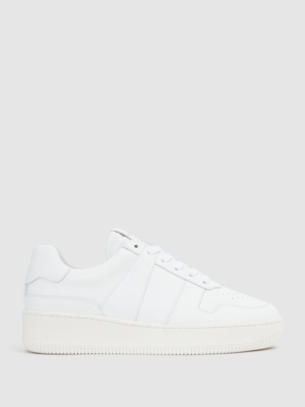 Attireforge.shop52968623fe 1