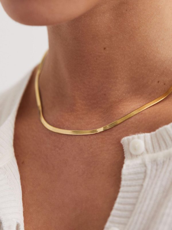 Attireforge.shop61689566e3 3