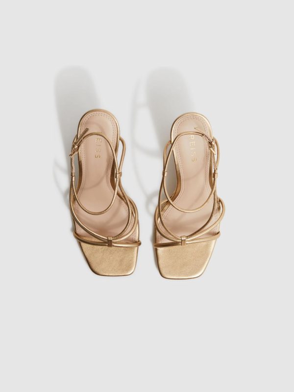 Attireforge.shopb55214aead 3