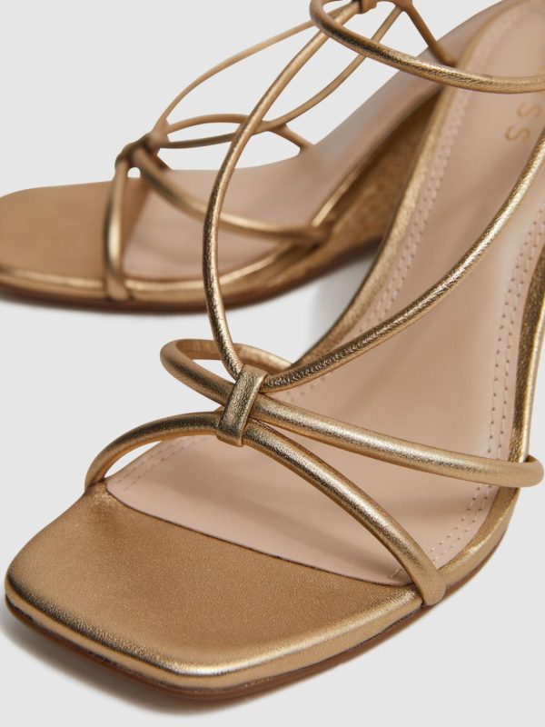 Attireforge.shopb55214aead 5