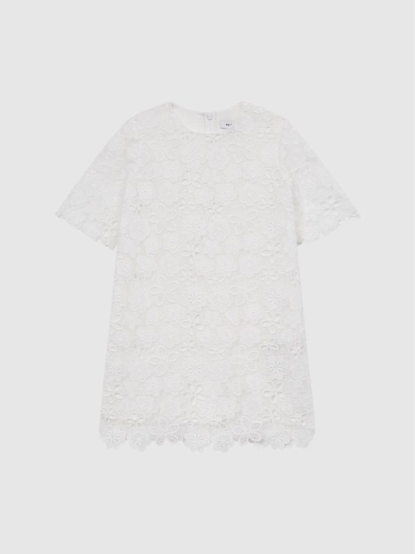 Attireforge.shopc697eb4df7 2