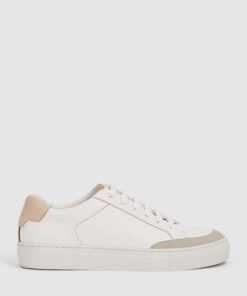 Attireforge.shopd9c758a04c 1