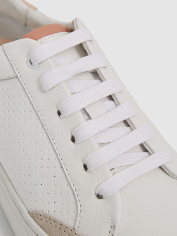 Attireforge.shopd9c758a04c 4