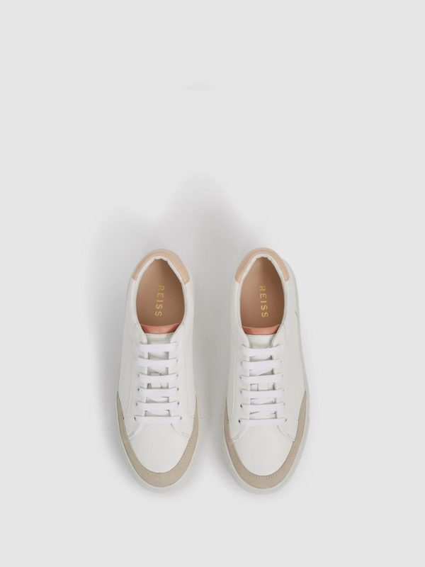 Attireforge.shopd9c758a04c 5